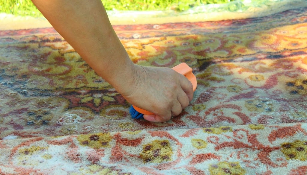 Why Carpet Washing Saves You Money: The Surprising Economics of Clean Floors