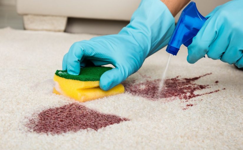 What Are the Most Effective Carpet Cleaning Products for Stubborn Stains?
