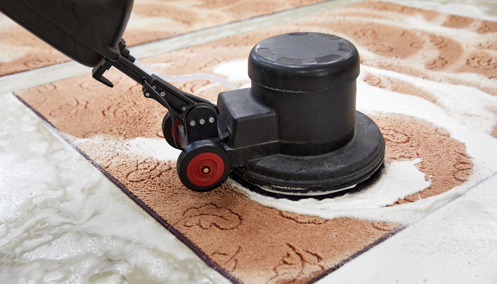 The Role of Carpet Washing in Maintaining a Healthy Home