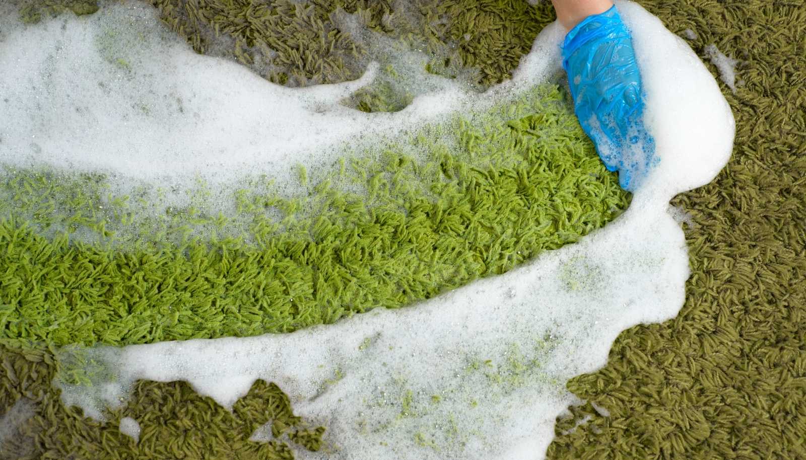 Deep Carpet Washing vs. Surface Cleaning: What’s the Difference?