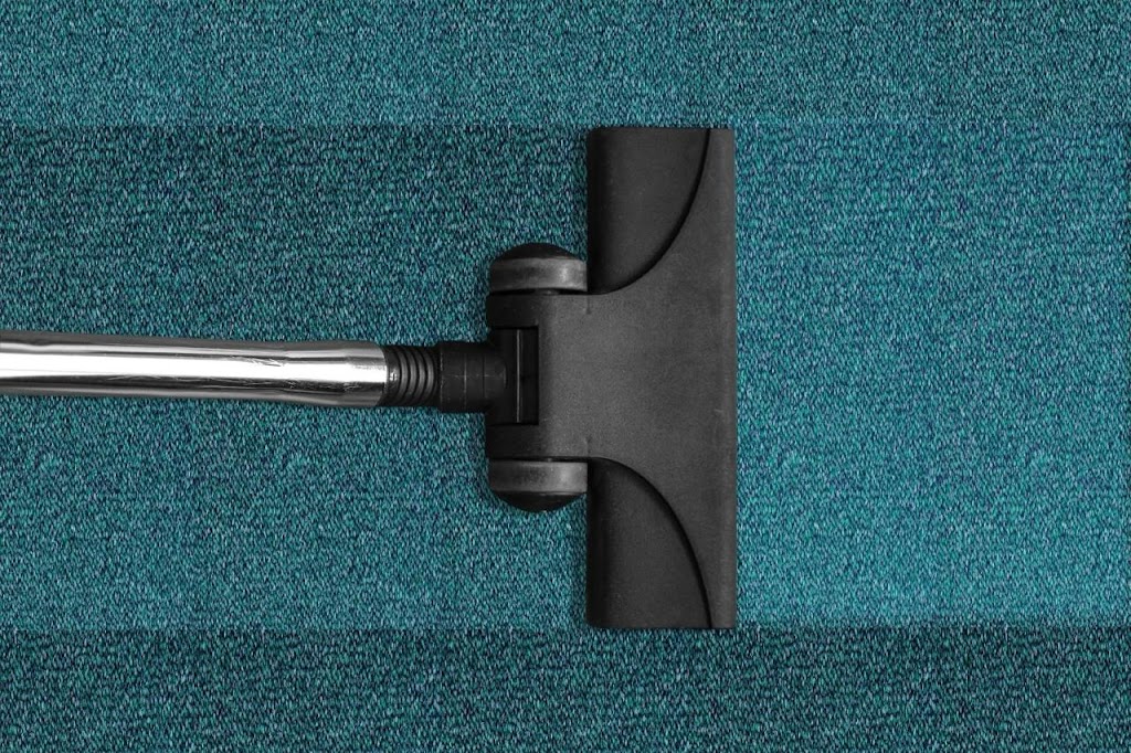 DIY Carpet Cleaning vs Professional Carpet Washing: Which is Better?