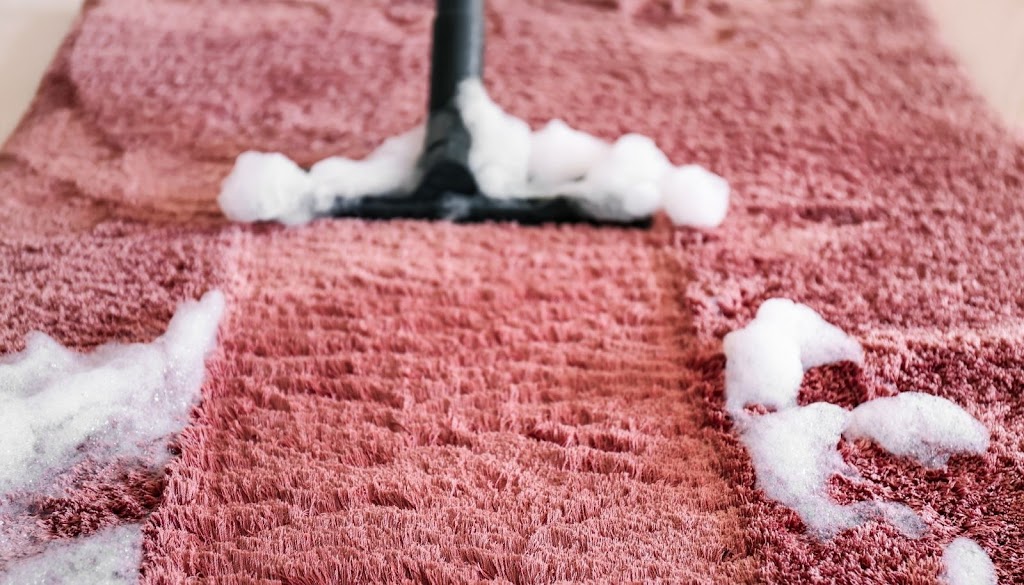 Pet Owners’ Guide to Carpet Washing: Master Hair, Stains and Odors