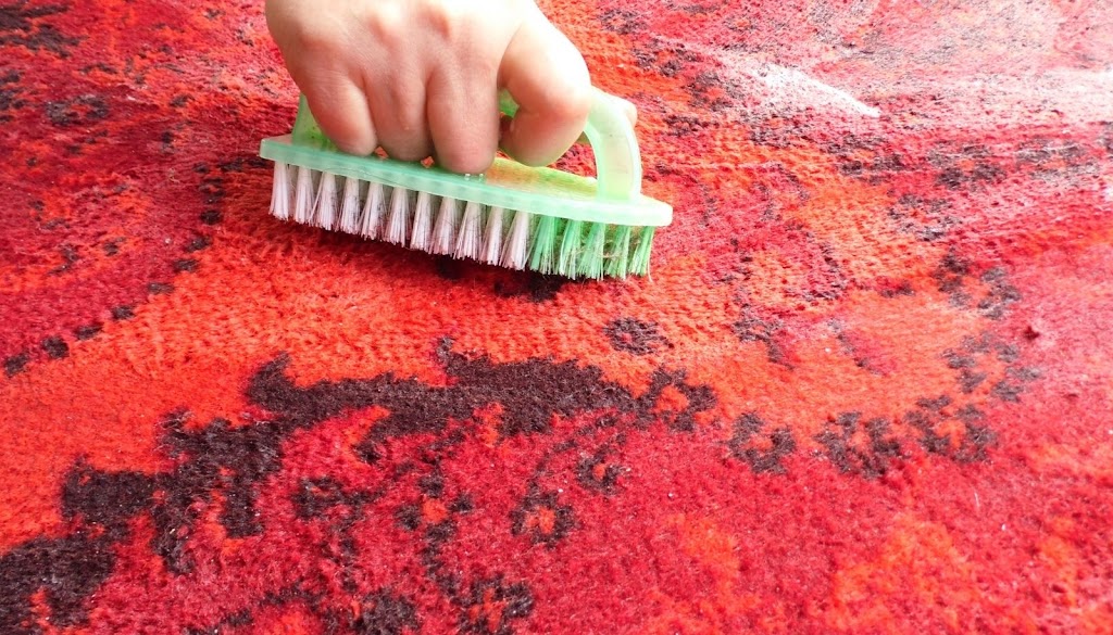 What’s Lurking in Your Carpets? The Dirty Truth About Not Cleaning Regularly